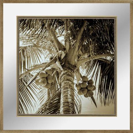 Quadro Decorativo com Margem de Vidro Transparente Tropical Coqueiro 80x80cm - Decore pronto Menor preço em Quadro Decorativo com Margem de Vidro Transparente Tropical Coqueiro 80x80cm - Decore pronto