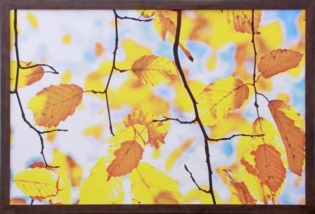 Quadro Decorativo com Moldura Rústica Folhas Amarelas 90x60cm - Decore pronto Menor preço em Quadro Decorativo com Moldura Rústica Folhas Amarelas 90x60cm - Decore pronto