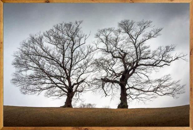 Quadro Decorativo com Moldura Rústica Paisagem de Campo com Árvores 150x100cm - Decore pronto Menor preço em Quadro Decorativo com Moldura Rústica Paisagem de Campo com Árvores 150x100cm - Decore pronto