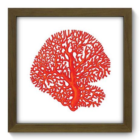 Quadro Decorativo - Coral - 22cm x 22cm - 059qdkm - Allodi Menor preço em Quadro Decorativo - Coral - 22cm x 22cm - 059qdkm - Allodi