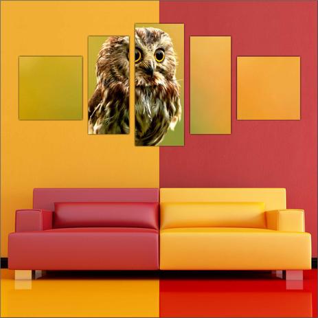 Quadro Decorativo Coruja Animais Ave Mosaico 5 Peças - Vital Menor preço em Quadro Decorativo Coruja Animais Ave Mosaico 5 Peças - Vital