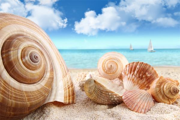 Quadro Decorativo em Canvas para Casas de Praia Areia e Mar I - Incasa design Menor preço em Quadro Decorativo em Canvas para Casas de Praia Areia e Mar I - Incasa design