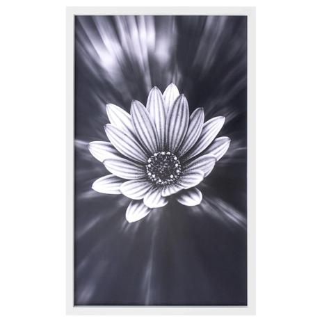 Quadro Decorativo em Preto e Branco Floral 60x100cm - Decore pronto Menor preço em Quadro Decorativo em Preto e Branco Floral 60x100cm - Decore pronto