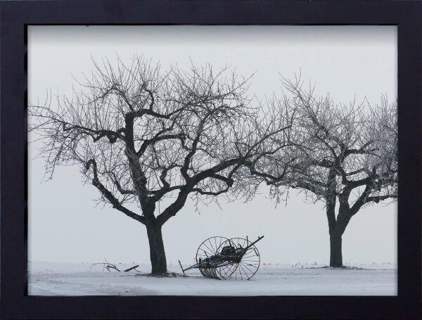 Quadro Decorativo em Preto e Branco Paisagem Inverno 40x30cm - Decore pronto Menor preço em Quadro Decorativo em Preto e Branco Paisagem Inverno 40x30cm - Decore pronto