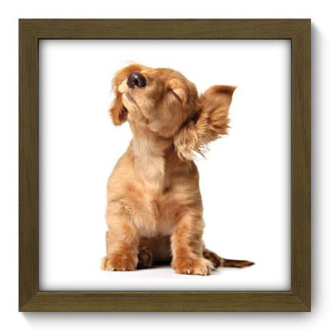 Quadro Decorativo - Filhote - 22cm x 22cm - 003qdsm - Allodi Menor preço em Quadro Decorativo - Filhote - 22cm x 22cm - 003qdsm - Allodi