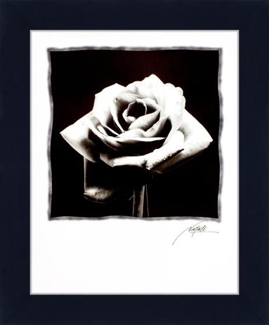 Quadro Decorativo Floral Flor em Preto e Branco 70x80cm - Decore pronto Menor preço em Quadro Decorativo Floral Flor em Preto e Branco 70x80cm - Decore pronto