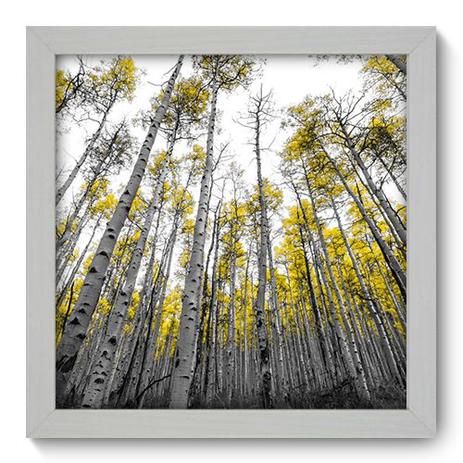 Quadro Decorativo - Floresta - 22cm x 22cm - 060qndab - Allodi é ruim? Quadro Decorativo - Floresta - 22cm x 22cm - 060qndab - Allodi é boa?