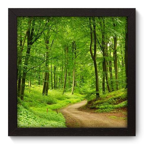 Quadro Decorativo - Floresta - 22cm x 22cm - 139qnpap - Allodi Menor preço em Quadro Decorativo - Floresta - 22cm x 22cm - 139qnpap - Allodi