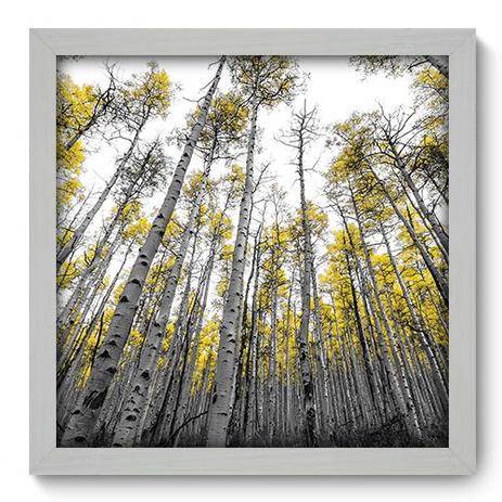 Quadro Decorativo - Floresta - 33cm x 33cm - 103qdpb - Allodi Menor preço em Quadro Decorativo - Floresta - 33cm x 33cm - 103qdpb - Allodi