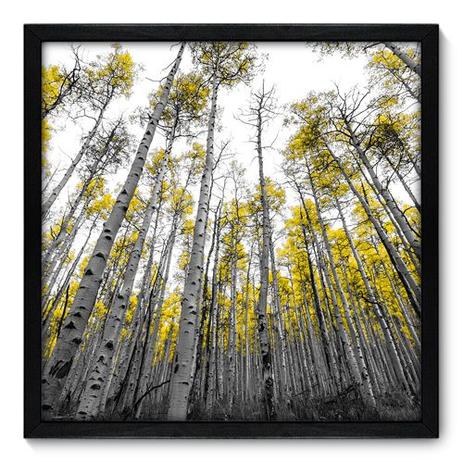 Quadro Decorativo - Floresta - 50cm x 50cm - 060qndcp - Allodi Menor preço em Quadro Decorativo - Floresta - 50cm x 50cm - 060qndcp - Allodi