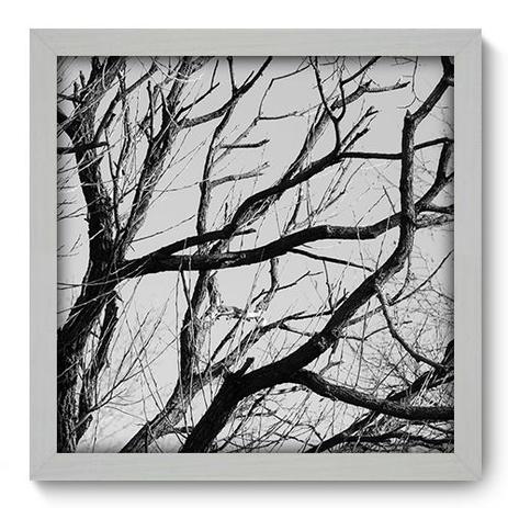 Quadro Decorativo - Galhos - 33cm x 33cm - 014qndbb - Allodi Menor preço em Quadro Decorativo - Galhos - 33cm x 33cm - 014qndbb - Allodi