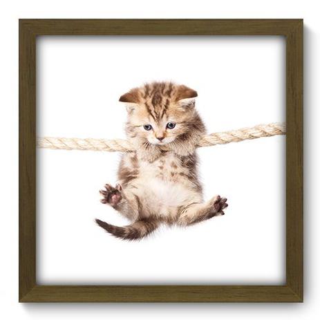 Quadro Decorativo - Gatinho - 33cm x 33cm - 123qdsm - Allodi Menor preço em Quadro Decorativo - Gatinho - 33cm x 33cm - 123qdsm - Allodi