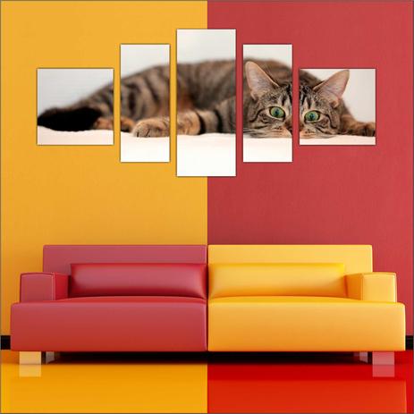 Quadro Decorativo Gato Salas Decorações Interiores 5 Peças TT8 - Vital Menor preço em Quadro Decorativo Gato Salas Decorações Interiores 5 Peças TT8 - Vital