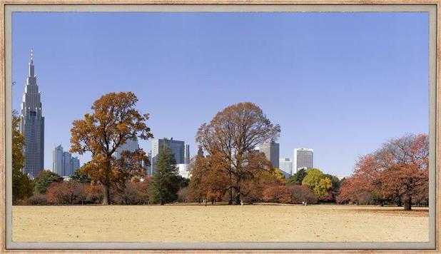 Quadro Decorativo Grande Paisagem Parque com Cidade ao Fundo 150x80cm - Decore pronto Menor preço em Quadro Decorativo Grande Paisagem Parque com Cidade ao Fundo 150x80cm - Decore pronto
