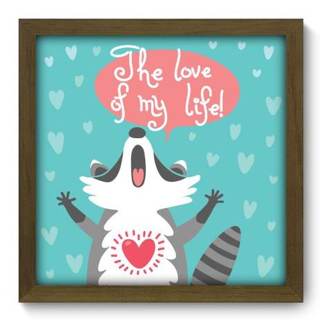 Quadro Decorativo - Guaxinim - 33cm x 33cm - 148qdsm - Allodi Menor preço em Quadro Decorativo - Guaxinim - 33cm x 33cm - 148qdsm - Allodi