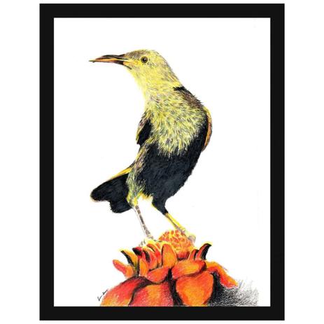 Quadro Decorativo Ilustração Riscos de Lápis Ave Pássaro 30x40cm - Decore pronto Menor preço em Quadro Decorativo Ilustração Riscos de Lápis Ave Pássaro 30x40cm - Decore pronto