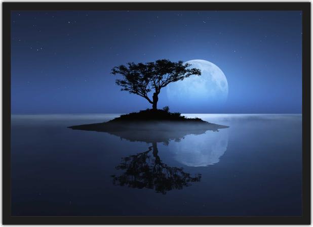 Quadro Decorativo Lua Noite Lago Arvores Paisagem Natureza Decoracoes Com Moldura Vital Quadros Quadro Decorativo Magazine Luiza