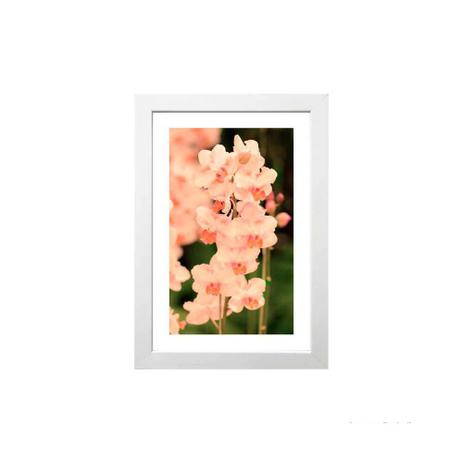 Quadro decorativo Orquid 23x33cm branco Infinity é ruim? Quadro decorativo Orquid 23x33cm branco Infinity é boa?