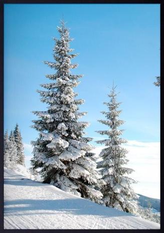 Quadro Decorativo Paisagem de Inverno Árvores 80x120cm - Decore pronto Menor preço em Quadro Decorativo Paisagem de Inverno Árvores 80x120cm - Decore pronto