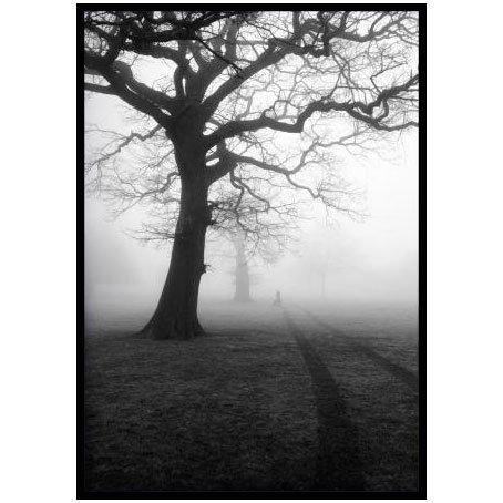 Quadro Decorativo Paisagem em Preto e Branco Parque com Nevoeiro 80x120 - Decore pronto Menor preço em Quadro Decorativo Paisagem em Preto e Branco Parque com Nevoeiro 80x120 - Decore pronto