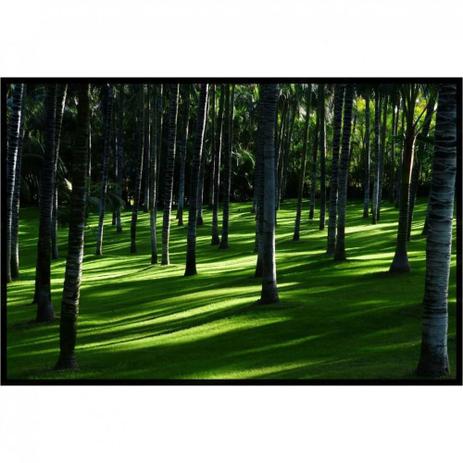Quadro Decorativo Paisagem Floresta Árvores de Palma 100x70cm - Decore pronto Menor preço em Quadro Decorativo Paisagem Floresta Árvores de Palma 100x70cm - Decore pronto