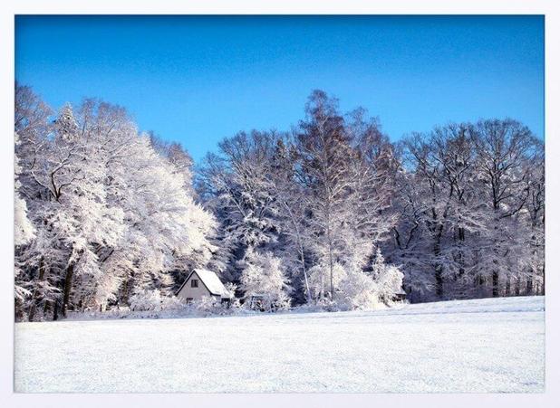 Quadro Decorativo Paisagem Floresta de Inverno 70x50cm - Decore pronto Menor preço em Quadro Decorativo Paisagem Floresta de Inverno 70x50cm - Decore pronto