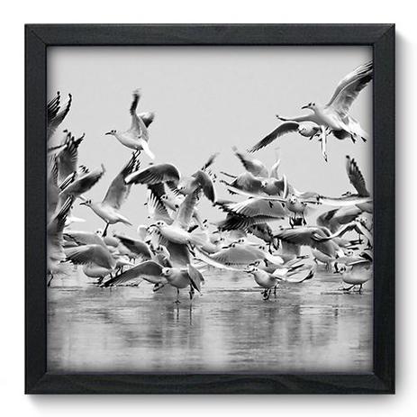 Quadro Decorativo - Pássaros - 33cm x 33cm - 004qnsbp - Allodi é boa?