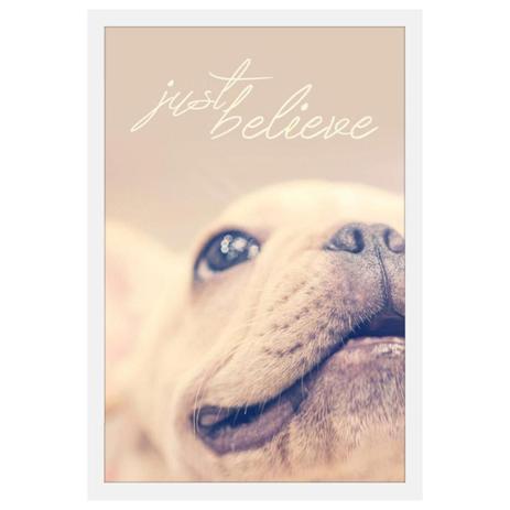 Quadro Decorativo Pet Cachorro com Moldura Branca e Frase Apenas Acredite 40x60cm - Decore pronto Menor preço em Quadro Decorativo Pet Cachorro com Moldura Branca e Frase Apenas Acredite 40x60cm - Decore pronto