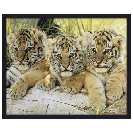Quadro Decorativo Poster com Moldura Tigres Filhotes 50x40cm - Decore pronto Menor preço em Quadro Decorativo Poster com Moldura Tigres Filhotes 50x40cm - Decore pronto