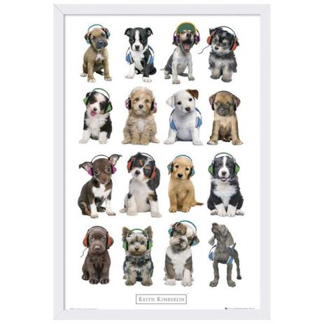 Quadro Decorativo Poster Dogs com Fone de Ouvido s/ Vidro 60x90cm - Decore pronto Menor preço em Quadro Decorativo Poster Dogs com Fone de Ouvido s/ Vidro 60x90cm - Decore pronto