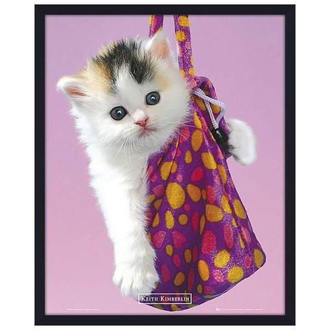 Quadro Decorativo Poster Filhote de Gato Dentro de Bolsa Rosa II s/ Vidro 40x50cm - Decore pronto Menor preço em Quadro Decorativo Poster Filhote de Gato Dentro de Bolsa Rosa II s/ Vidro 40x50cm - Decore pronto