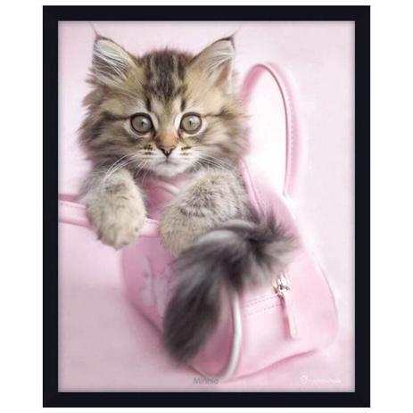 Quadro Decorativo Poster Filhote de Gato Dentro de Bolsa Rosa s/ Vidro 40x50cm - Decore pronto Menor preço em Quadro Decorativo Poster Filhote de Gato Dentro de Bolsa Rosa s/ Vidro 40x50cm - Decore pronto
