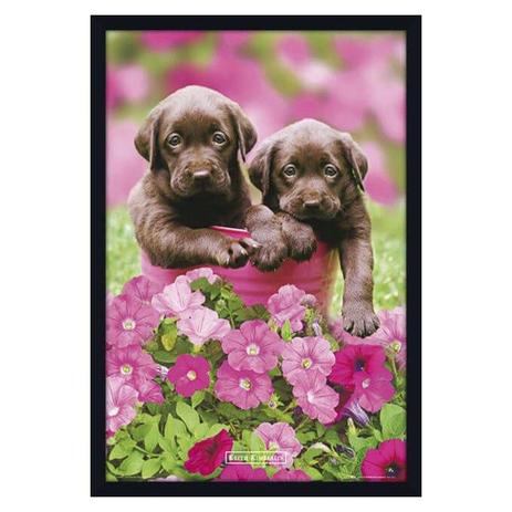 Quadro Decorativo Poster Filhotes Cachorros Marrons 60x90cm - Decore pronto Menor preço em Quadro Decorativo Poster Filhotes Cachorros Marrons 60x90cm - Decore pronto