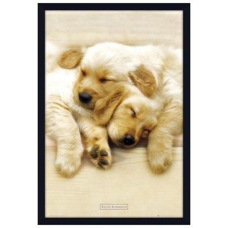 Quadro Decorativo Poster Filhotes Labrador 60x90cm - Decore pronto Menor preço em Quadro Decorativo Poster Filhotes Labrador 60x90cm - Decore pronto
