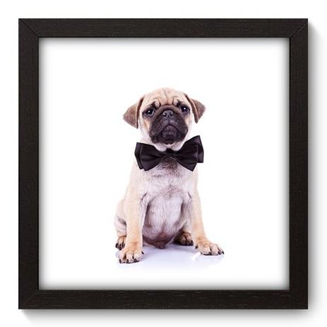 Quadro Decorativo - Pug - 22cm x 22cm - 007qnsap - Allodi Menor preço em Quadro Decorativo - Pug - 22cm x 22cm - 007qnsap - Allodi