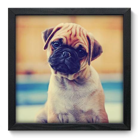 Quadro Decorativo - Pug - 33cm x 33cm - 111qdsp - Allodi Menor preço em Quadro Decorativo - Pug - 33cm x 33cm - 111qdsp - Allodi