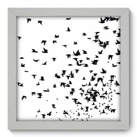 Quadro Decorativo - Revoada - 22cm x 22cm - 031qndab - Allodi é boa?