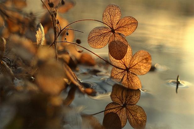 Quadro Decorativo Vidro p/ Sala, Quarto, Escritório e Consultório-Reflection-II - Incasa design é boa?