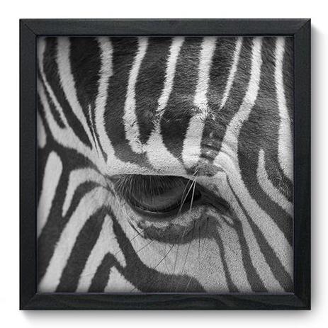 Quadro Decorativo - Zebra - 33cm x 33cm - 003qnsbp - Allodi é ruim? Quadro Decorativo - Zebra - 33cm x 33cm - 003qnsbp - Allodi é boa?