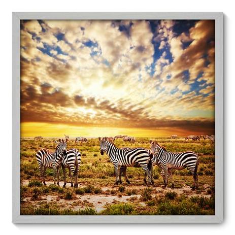 Quadro Decorativo - Zebras - 70cm x 70cm - 008qnsdb - Allodi Menor preço em Quadro Decorativo - Zebras - 70cm x 70cm - 008qnsdb - Allodi