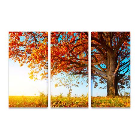 Quadro Grande Paisagem Árvore Outono Sala 3 Telas Canvas GD - Bimper Menor preço em Quadro Grande Paisagem Árvore Outono Sala 3 Telas Canvas GD - Bimper