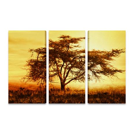Quadro Grande Paisagem Savana Árvore África 3 Telas Decor GD - Bimper Menor preço em Quadro Grande Paisagem Savana Árvore África 3 Telas Decor GD - Bimper