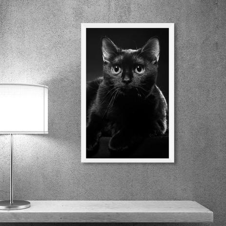 Quadro Moldura Branca e Vidro Gato Coleção Animais da Oppen House Decorativo Dala de Estar Menor preço em Quadro Moldura Branca e Vidro Gato Coleção Animais da Oppen House Decorativo Dala de Estar