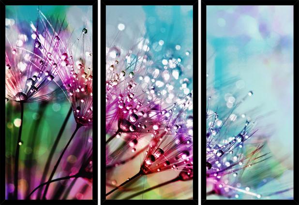 Quadro Mosaico 3 Partes Reto Flowers Art e Cia - Preto Menor preço em Quadro Mosaico 3 Partes Reto Flowers Art e Cia - Preto
