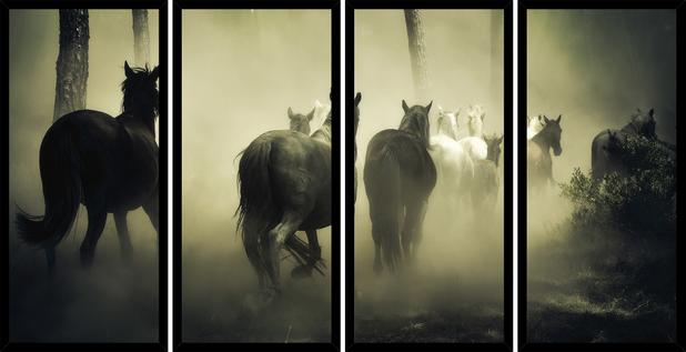 Quadro Mosaico 4 Partes Reto Horse Family Art e Cia - Preto Menor preço em Quadro Mosaico 4 Partes Reto Horse Family Art e Cia - Preto
