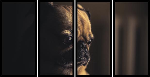 Quadro Mosaico 4 Partes Reto Pug Puppy Art e Cia - Preto Menor preço em Quadro Mosaico 4 Partes Reto Pug Puppy Art e Cia - Preto