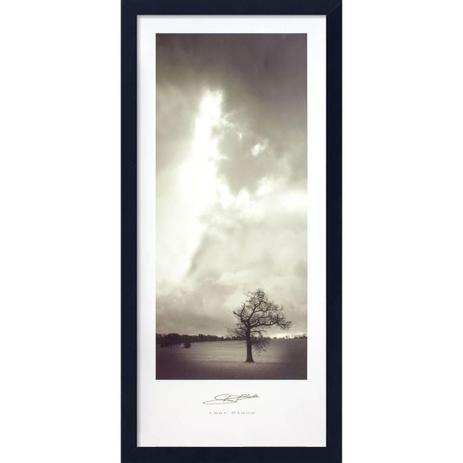 Quadro Natureza Árvore no Campo em Preto e Branco 30x70cm - Decore pronto Menor preço em Quadro Natureza Árvore no Campo em Preto e Branco 30x70cm - Decore pronto