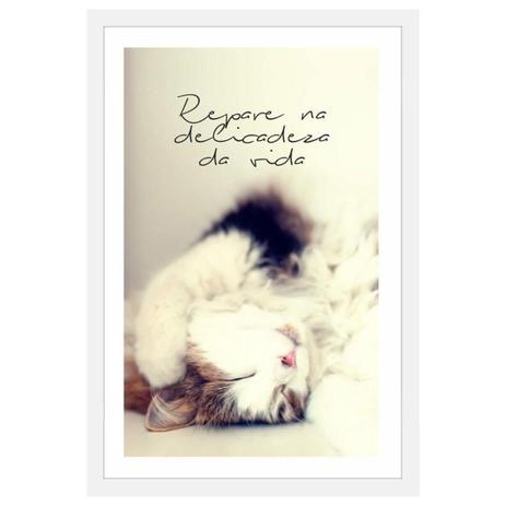 Quadro Pet Decorativo com Moldura Branca Gato e Frase Repare na Delicadeza da Vida 40x60cm - Decore pronto Menor preço em Quadro Pet Decorativo com Moldura Branca Gato e Frase Repare na Delicadeza da Vida 40x60cm - Decore pronto