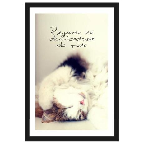 Quadro Pet Decorativo com Moldura Preta Gato e Frase Repare na Delicadeza da Vida 40x60cm - Decore pronto Menor preço em Quadro Pet Decorativo com Moldura Preta Gato e Frase Repare na Delicadeza da Vida 40x60cm - Decore pronto