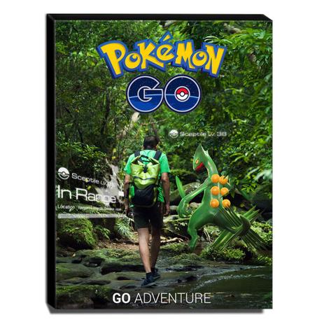Quadro Pokémon GO Canvas 40x30cm-INF15 - Lubrano decor é boa?